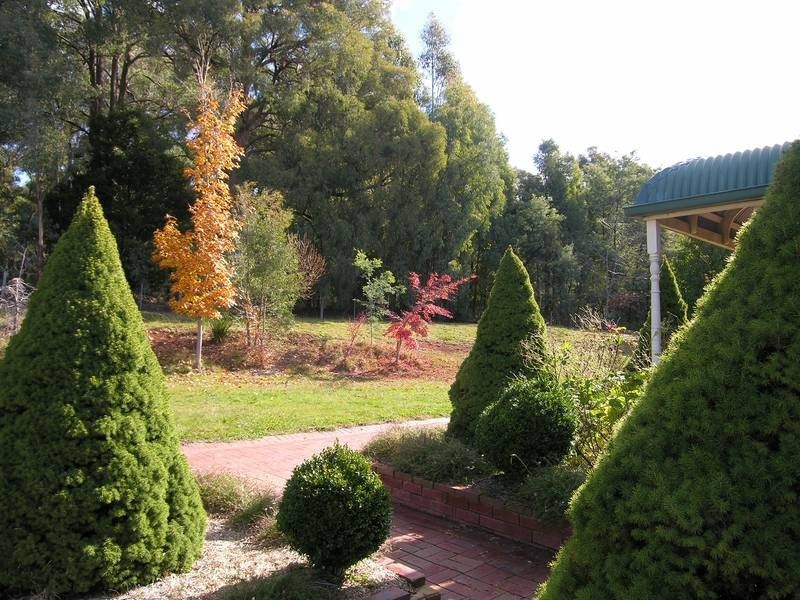 Whitfield VIC 3733