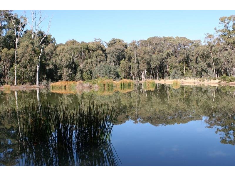 Whitfield VIC 3733