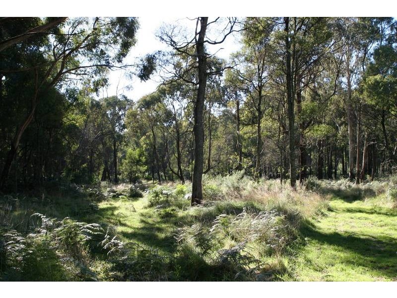 Whitfield VIC 3733