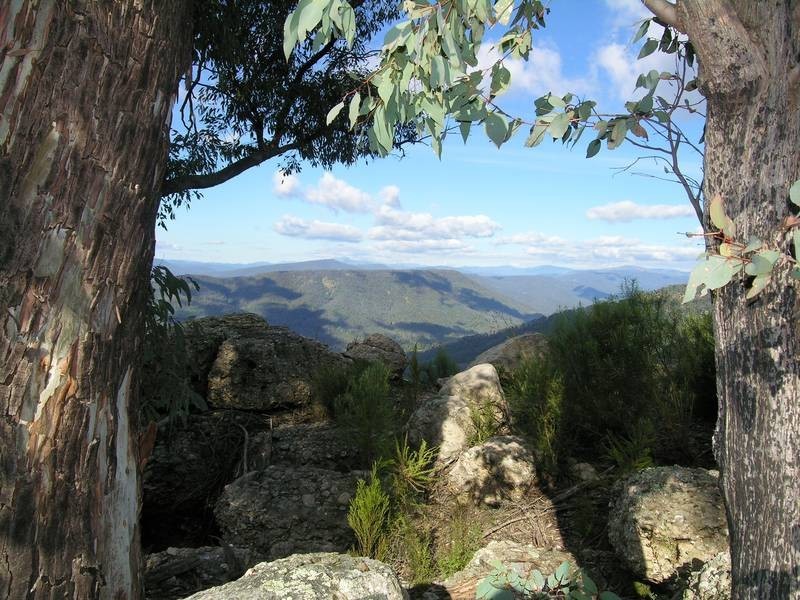 Whitfield VIC 3733