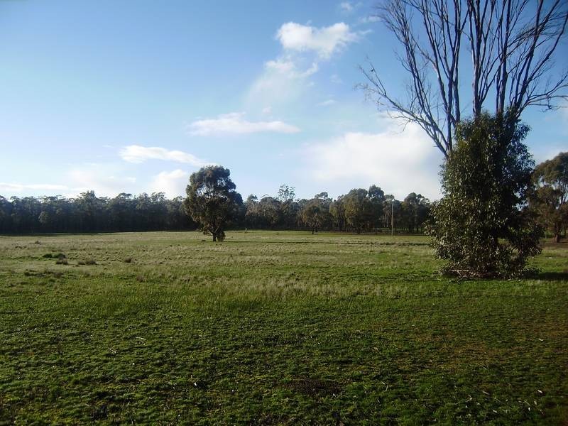 Wangaratta VIC 3677
