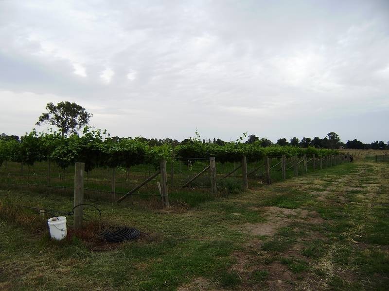 2035 Wangaratta-Whitfield Road, Wangaratta VIC 3677