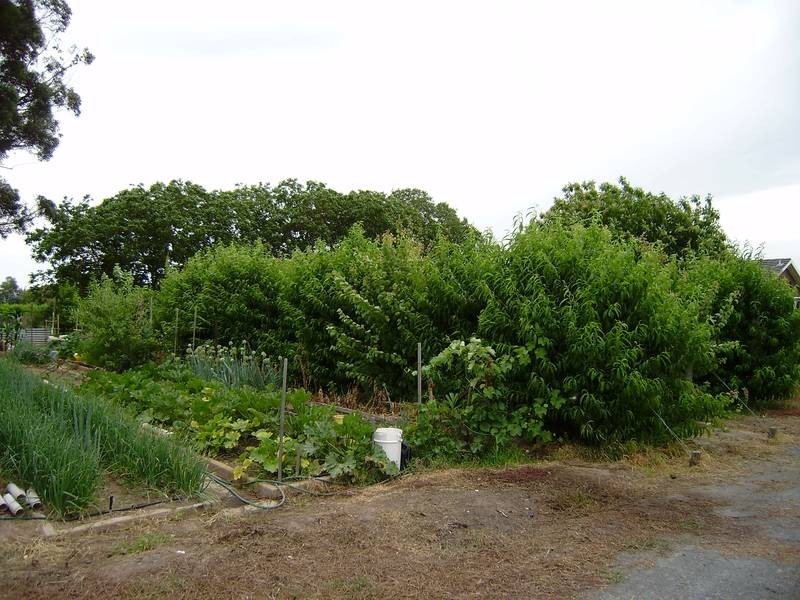 2035 Wangaratta-Whitfield Road, Wangaratta VIC 3677