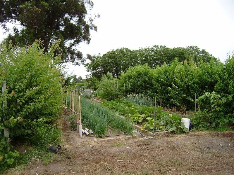 2035 Wangaratta-Whitfield Road, Wangaratta VIC 3677