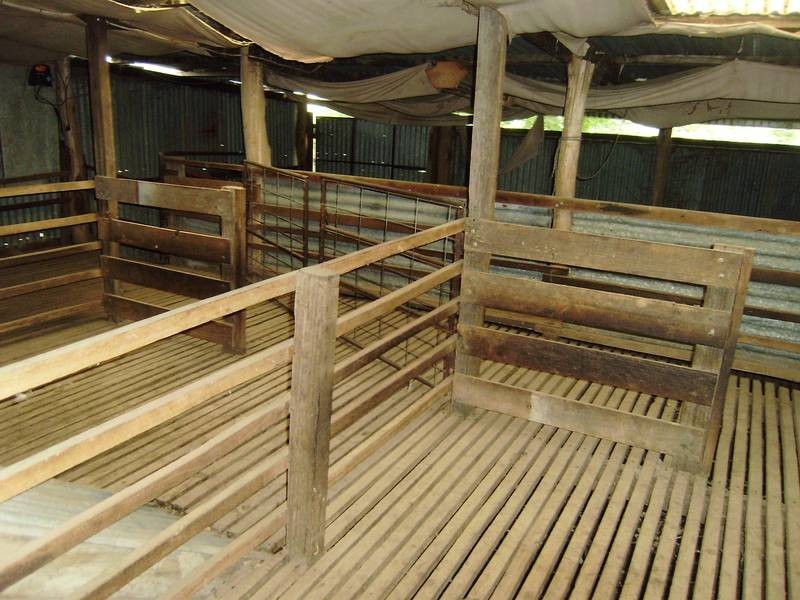 Wangaratta VIC 3677