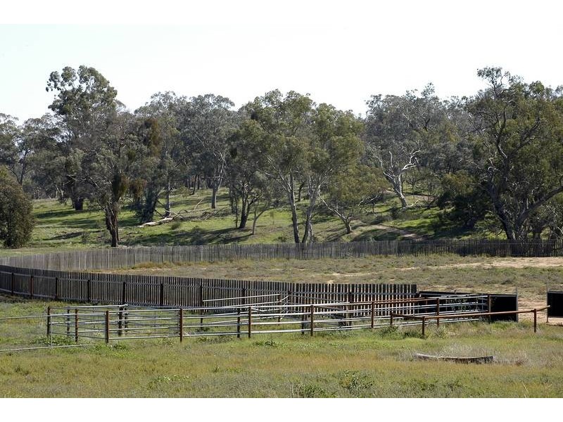 Wangaratta VIC 3677
