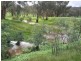 Wangaratta VIC 3677