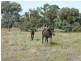 Killawarra VIC 3678