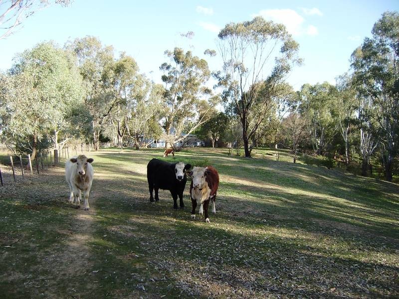 Peechelba East VIC 3678