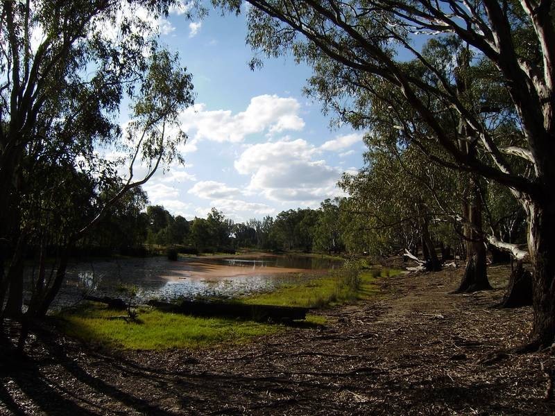 Peechelba East VIC 3678