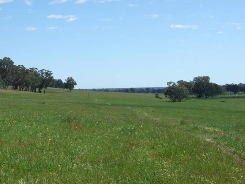 Tarrawingee VIC 3678