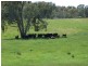 Tarrawingee VIC 3678