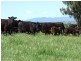 Tarrawingee VIC 3678