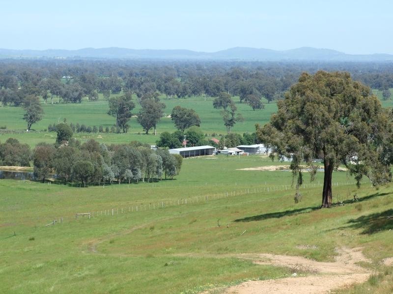Tarrawingee VIC 3678