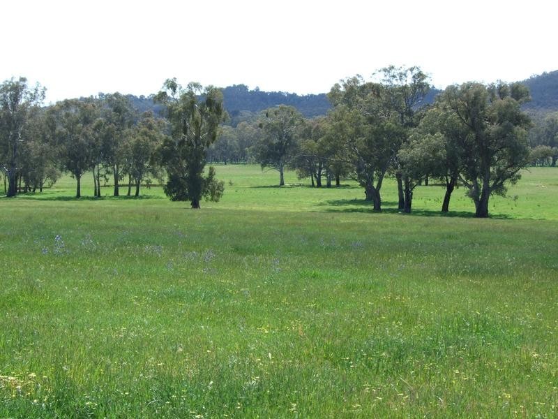Tarrawingee VIC 3678