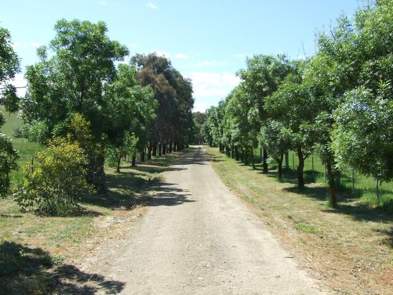 Tarrawingee VIC 3678