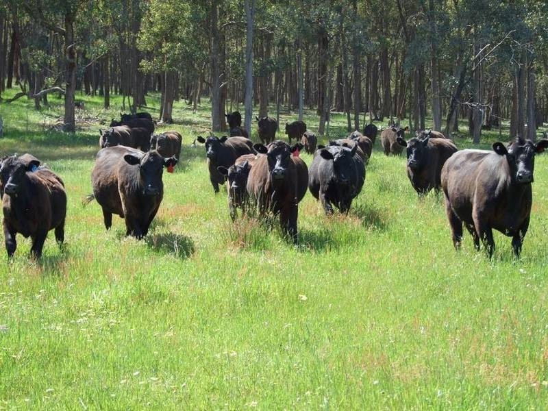 Bobinawarrah VIC 3678