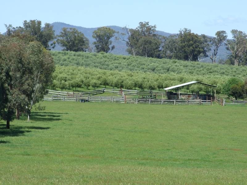 Markwood VIC 3678