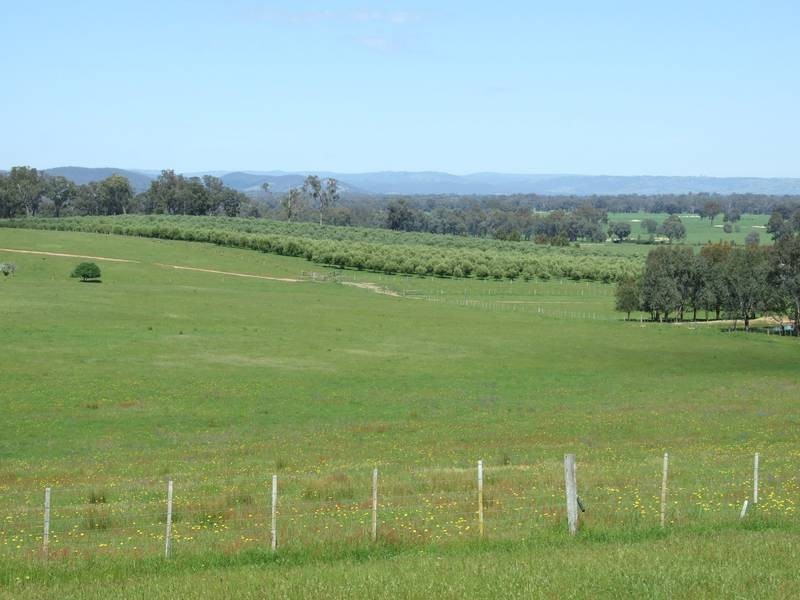 Markwood VIC 3678
