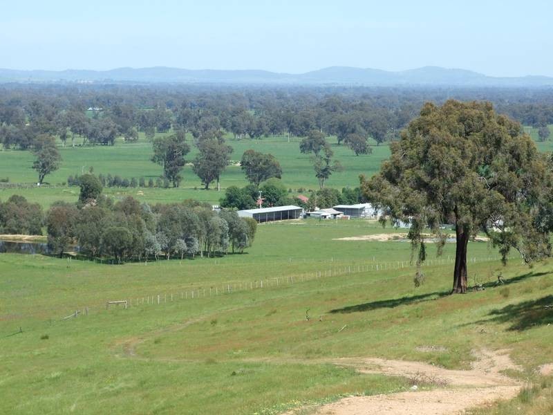 Markwood VIC 3678