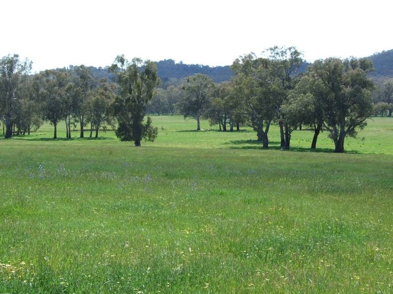 Markwood VIC 3678