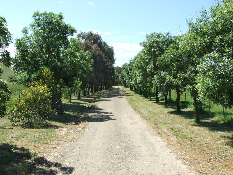 Markwood VIC 3678