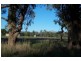 Wangaratta VIC 3677