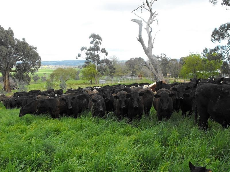 Hansonville VIC 3675