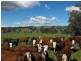 Hansonville VIC 3675