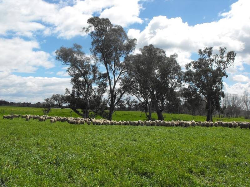 Hansonville VIC 3675