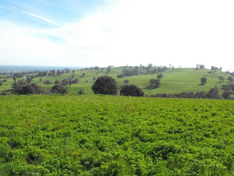 Hansonville VIC 3675