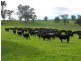 Hansonville VIC 3675