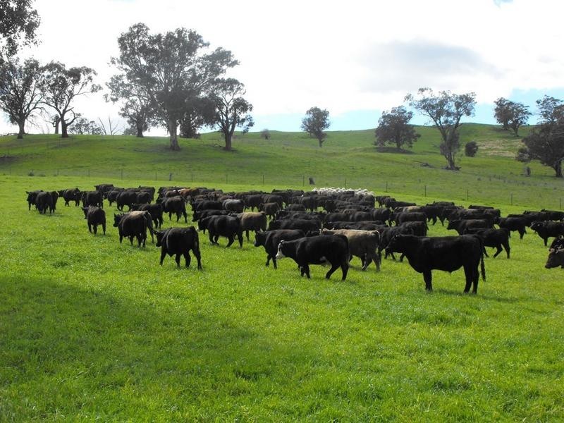 Hansonville VIC 3675