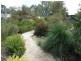 Glenrowan VIC 3675