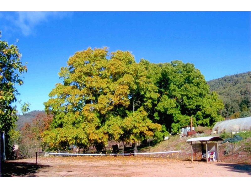 5640 Mansfield-Whitfield Road, Wangaratta VIC 3677