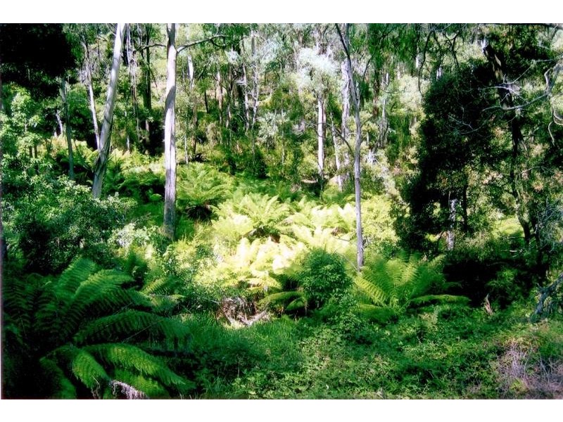 5640 Mansfield-Whitfield Road, Wangaratta VIC 3677