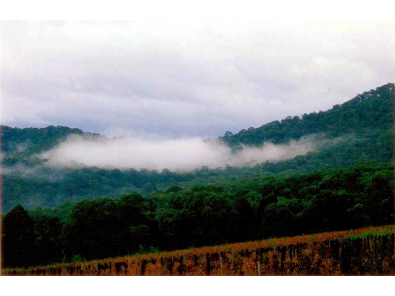 5640 Mansfield-Whitfield Road, Wangaratta VIC 3677