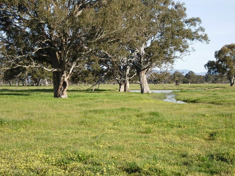 Wangaratta VIC 3677