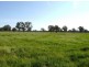 Wangaratta VIC 3677