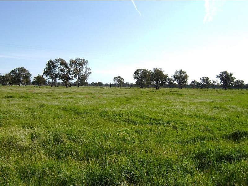 Wangaratta VIC 3677