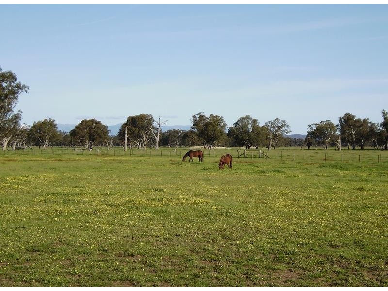 Wangaratta VIC 3677