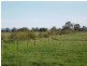 Wangaratta VIC 3677