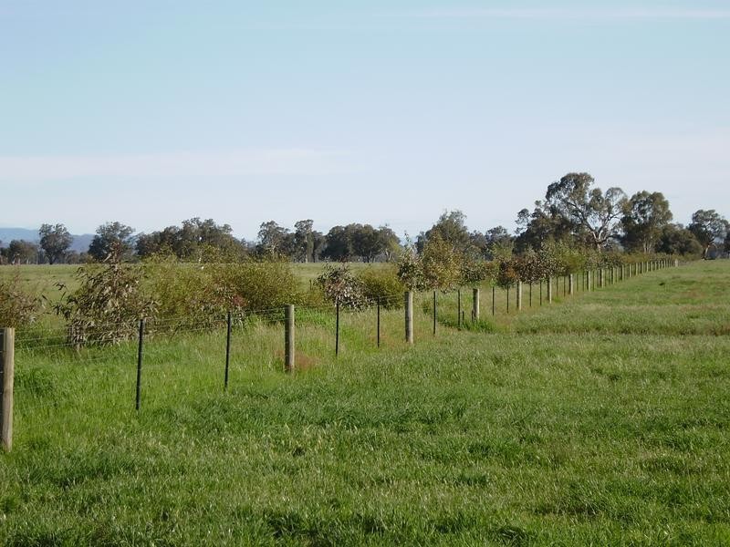 Wangaratta VIC 3677