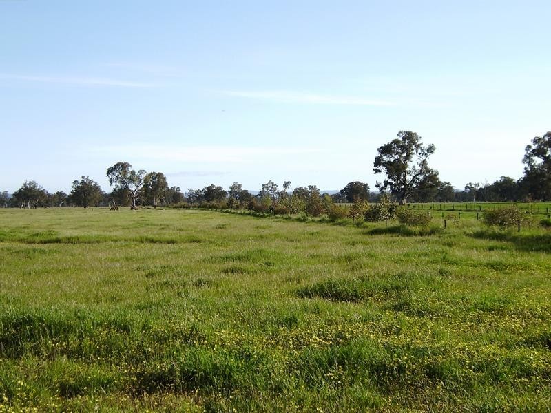 Wangaratta VIC 3677