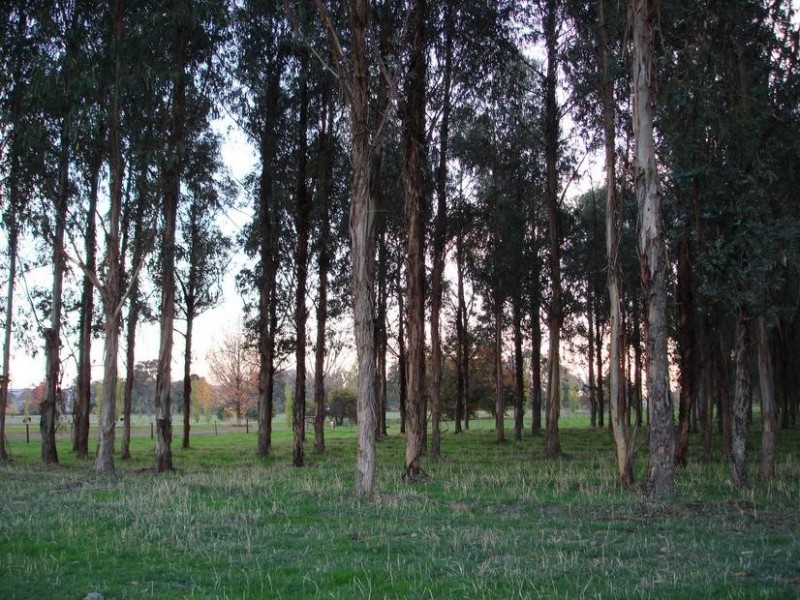 King Valley VIC 3678