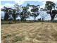 Waldara VIC 3678