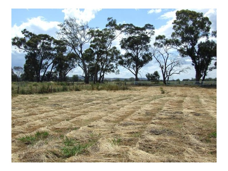 Waldara VIC 3678