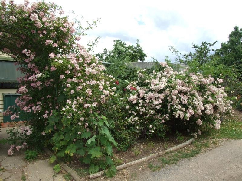 East Wangaratta VIC 3678