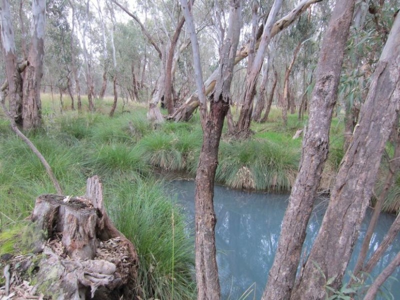 Mount Bruno VIC 3675