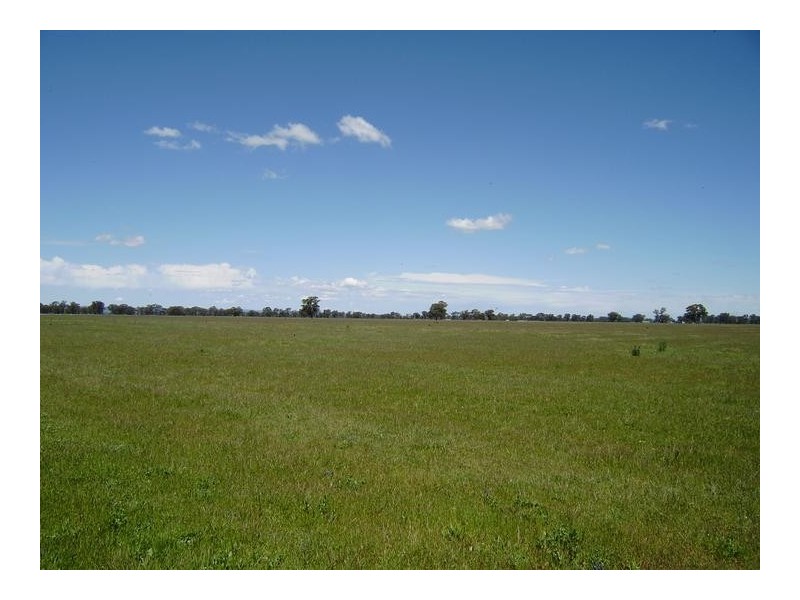 Rutherglen VIC 3685